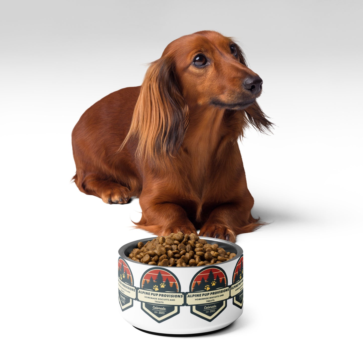 Alpine Pup Provisions Pet bowl